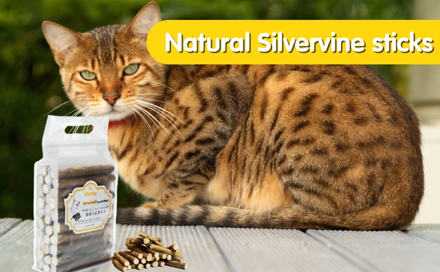 5 Palitos Dentales Naturales Para Gatos Matatabi Silvervine, Juguete Masticable Con Hierba Gatera F Z2c3