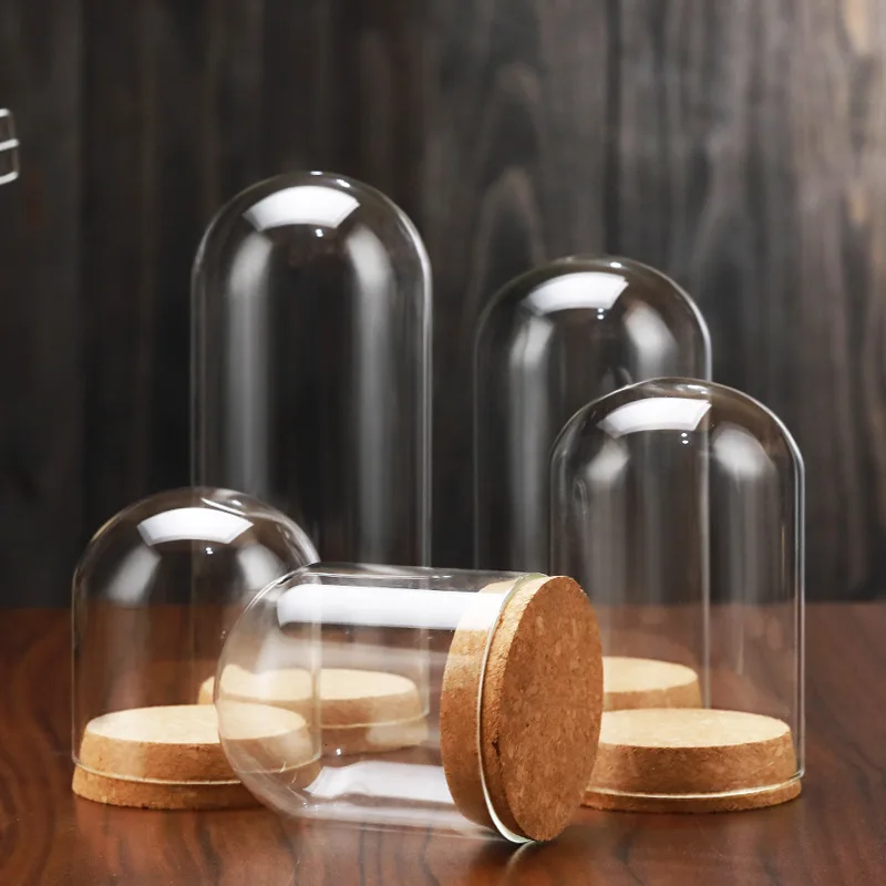 60pcs D8 x H10cm Cloche Dome Display Glass Jar with Cork Landscape Glass Bottles Wholesale 2