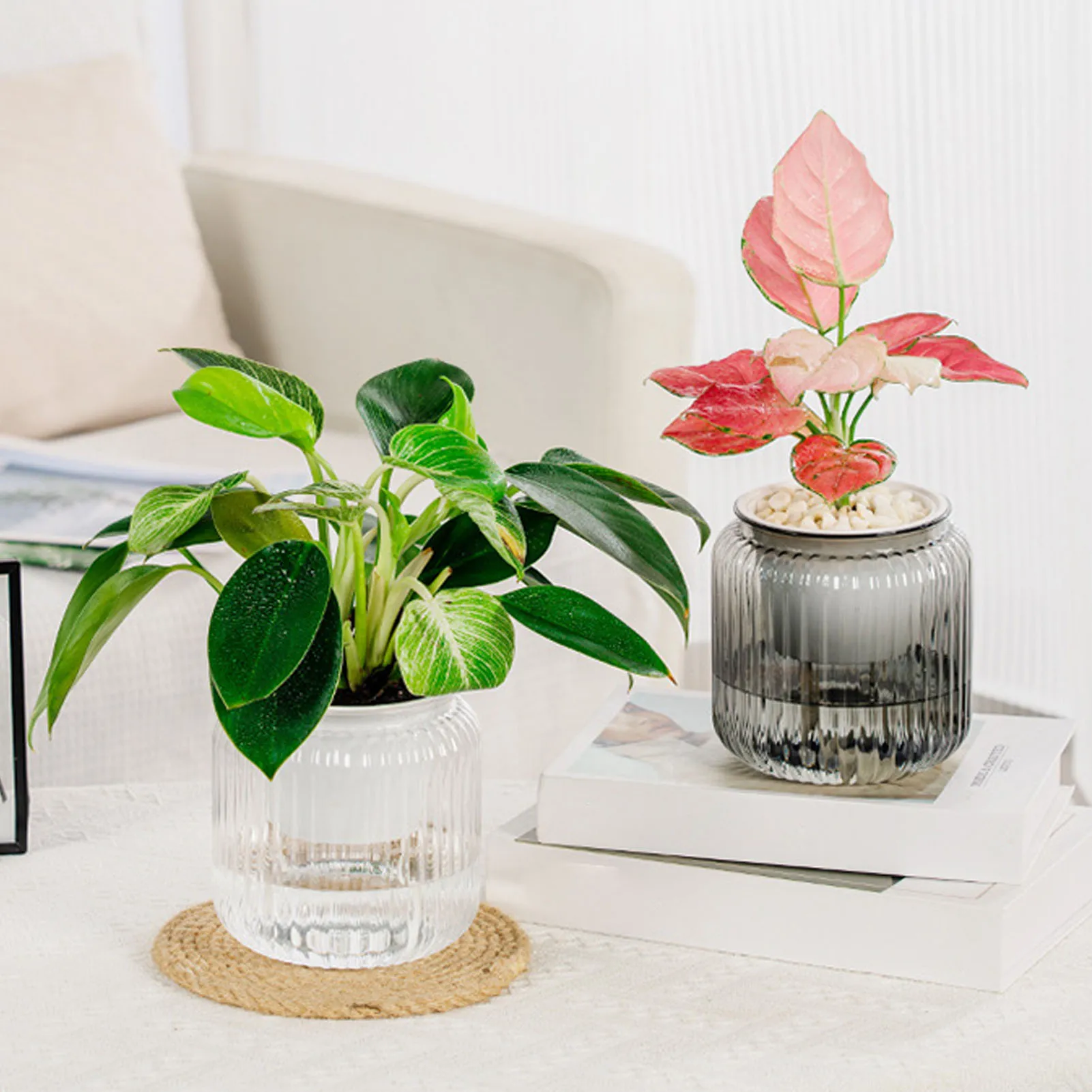 

Гидропонный цветочный горшок, автоматический поглощающий воду цветочный горшок, прозрачный двухслойный пластиковый саморегулирующийся офисный Декор