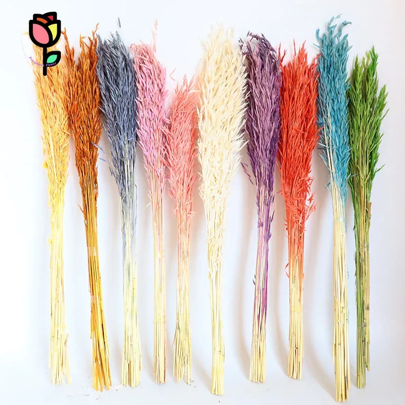 

Dried Flowers Oat Bouquets Wedding Party Decoration Artificial Flower Wheat Nordic Country Decor Natural Pampas Garden Florals