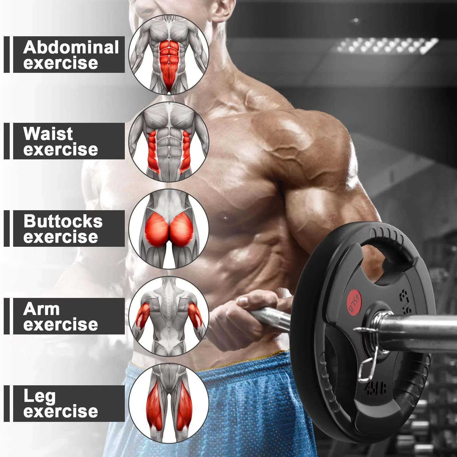 Discos para barra de pesas recubiertos de goma para gimnasio casa_voghion.com