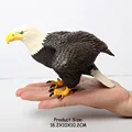 Big bald eagles