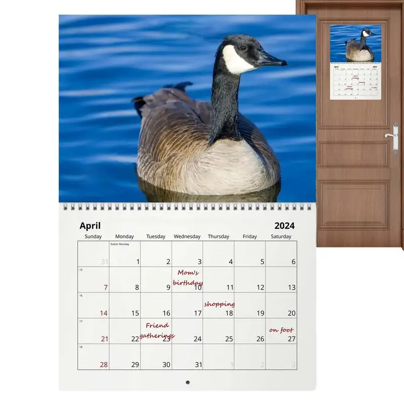 

Календарь на стену 2024 дюйма, календарь на стену с рисунком в виде Geese, график для повышения эффективности жизни
