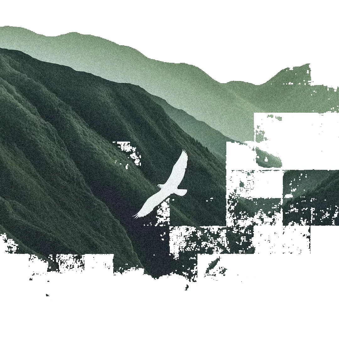 LazyZoom 2025 Multifunctional Breathable Face Cover Neck Guard Integrated Sun UV Protection Sunshade Hat For Women Summer_voghion.com