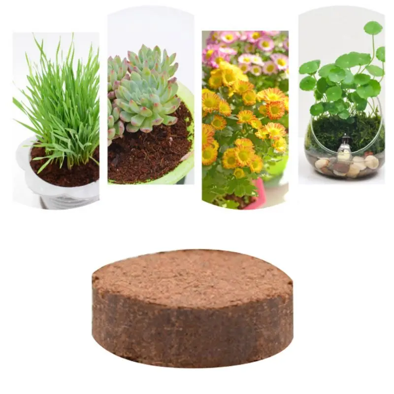 Natural Coir Discs Round Coconut Bricks for Home Gardening Reptile Aquarium 1