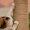 Twisted Jute Rope DIY Cat Scratcher Replacement Cat Tree Climbing Frame Binding Rope Durable Cat Scratching Toy Pet Supplies 5