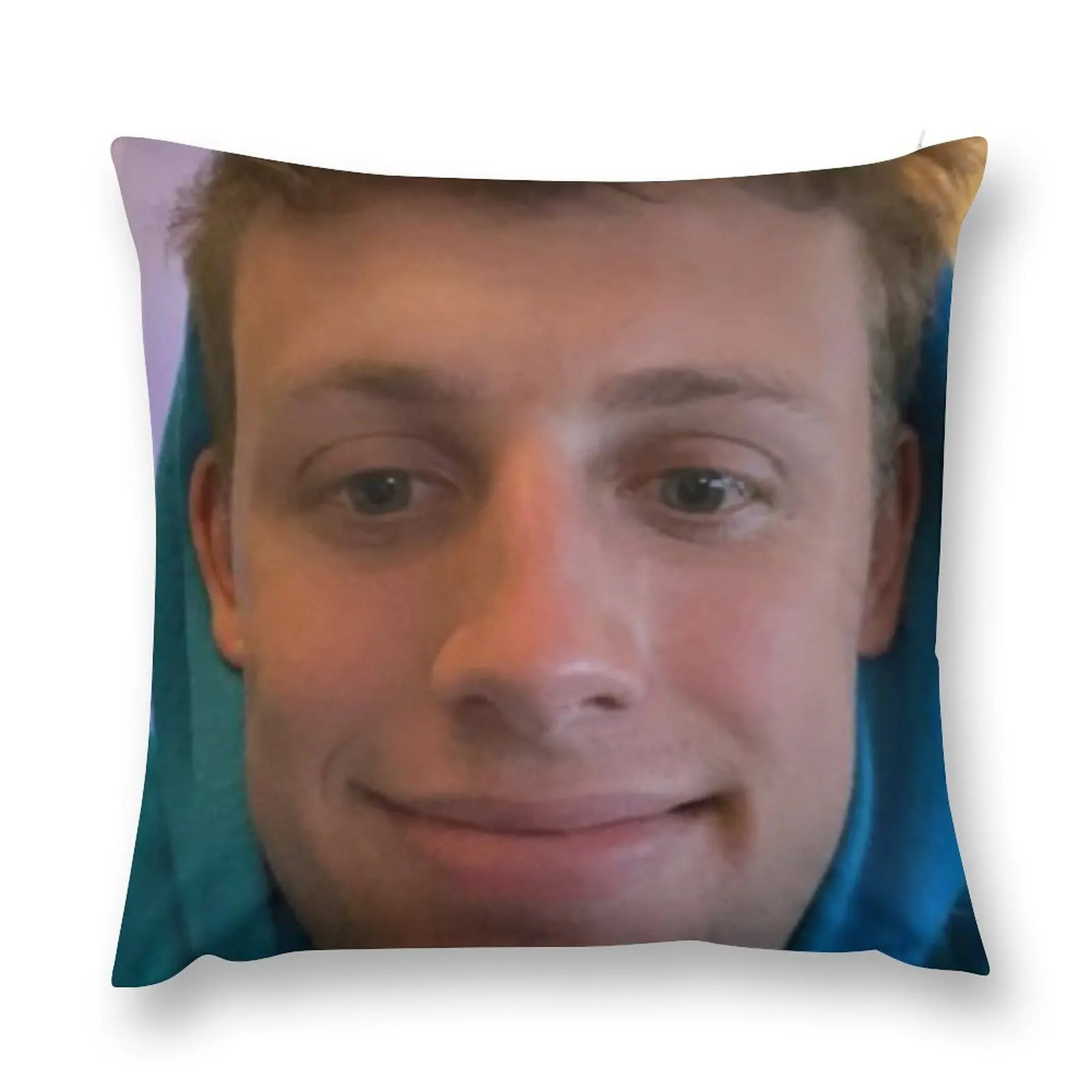 

Harry Wroetoshaw Throw Pillow ornamental pillows for living room Cushions For Decorative Sofa