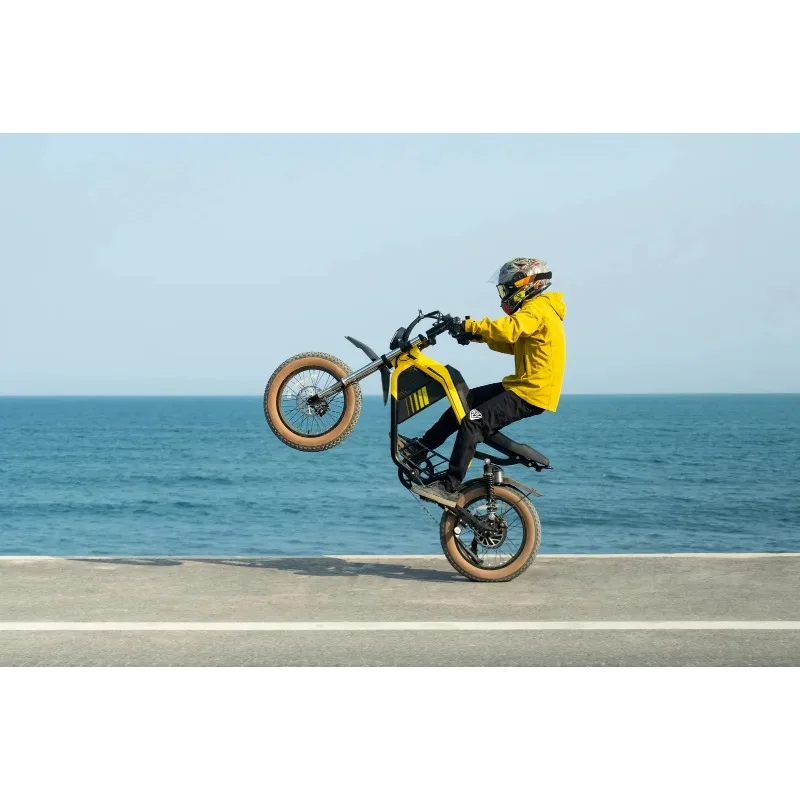 Luckeep M5Ultra Electric Motorcycle 2000W MOTOR 52V20AH Battery Powerful Electric Bike Adult City Commute Exercise OffRoad EBike