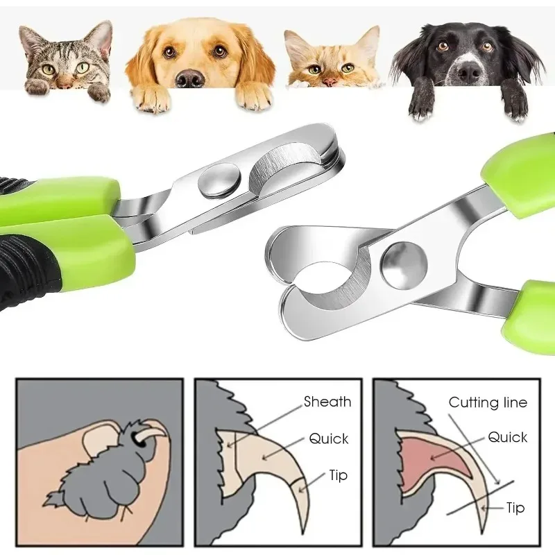 Stainless Steel Pet Nail Clippers 3