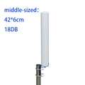 Middle-sized