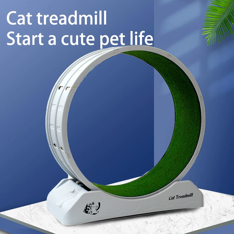 Silent Large Pet Exercise Wheel 2