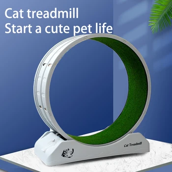 Silent Large Pet Exercise Wheel 2