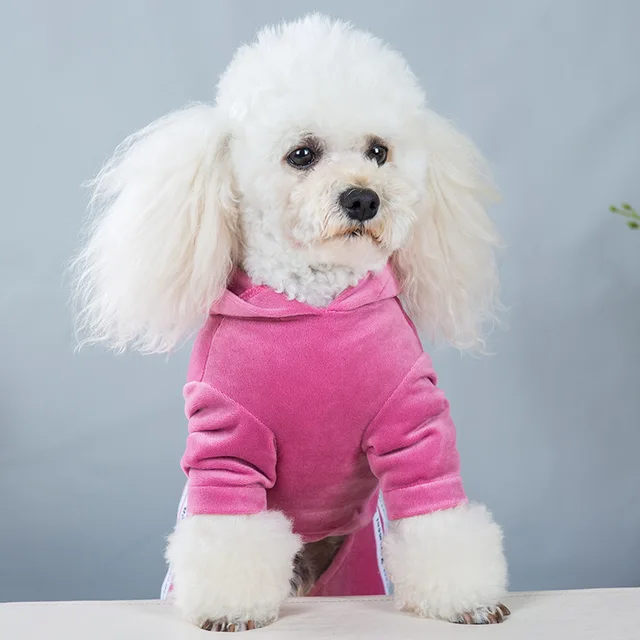 Dog Clothes for Small Dogs 3