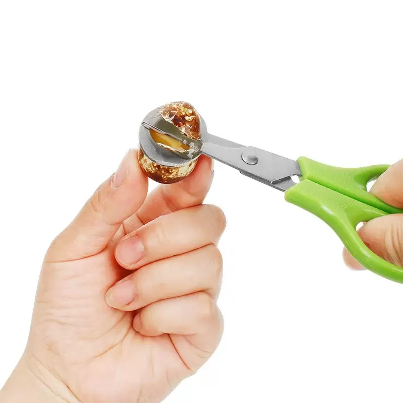 2 Pcs Pigeon Quaglie Egg Scissor Green Bird Cutter Apriscatole In Acciaio Inossidabile Red Kitchen Tool Clipper Cigar Cracker Bladed Tool Facile