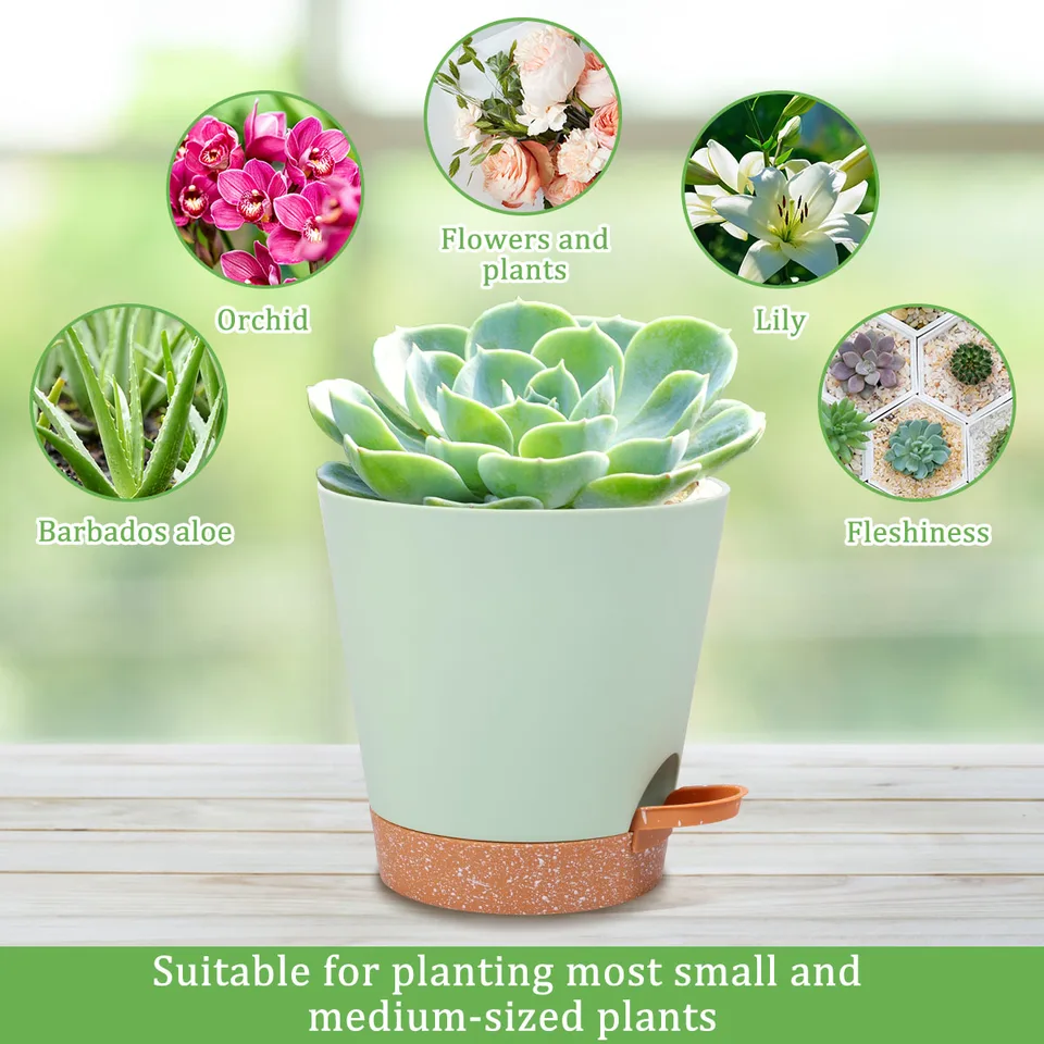 Vasi Autoirriganti Outigu - Set 5 Pezzi Con Piattino Per Piante Da Interno