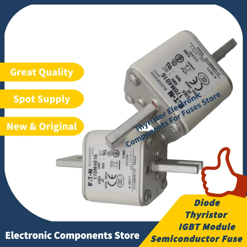

170M4016 170M4008 170M4018 170M4019 170M5008 170M4010 170M4416 170M5216 170M5215 New and Original Fast Acting Semiconductor Fuse