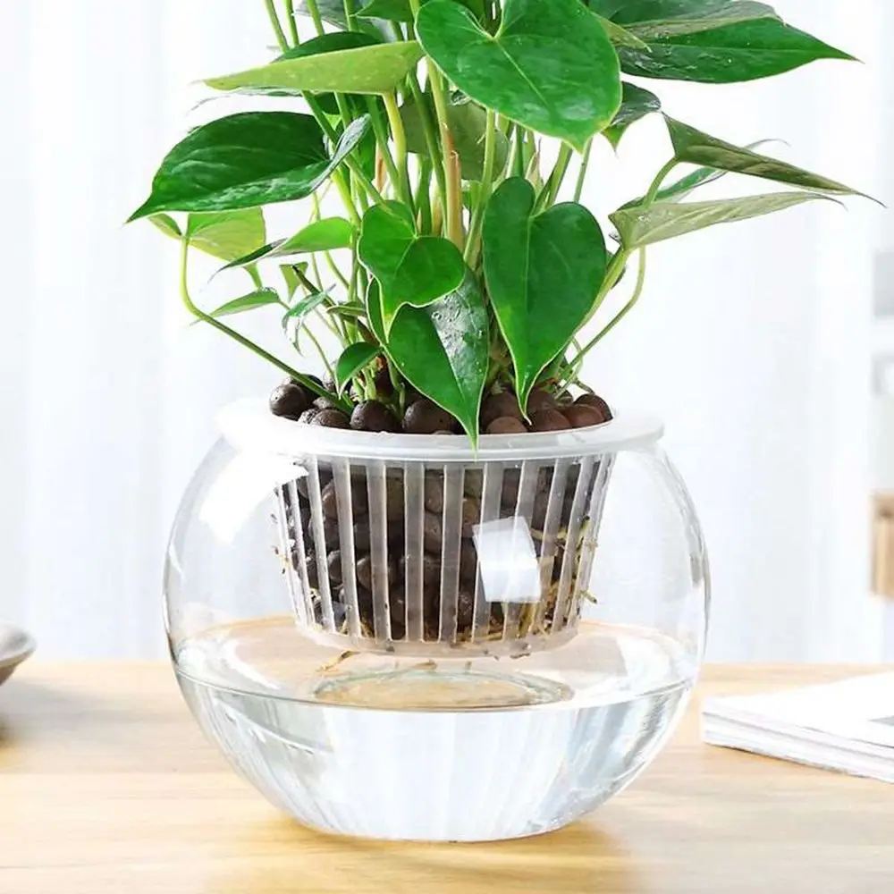 Hydroponic Colonization Mesh Pot Net Cup Basket Hydroponic Aeroponic Planting Grow Clone Nursery Plant Soilless 50Pcs