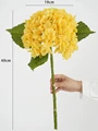 Yellowe hydrangea