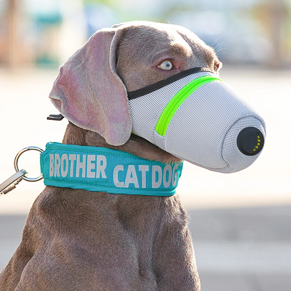 Adjustable Dog Air Filter Mask for Safe Breathing