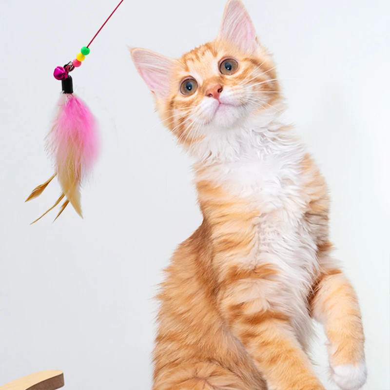 Replaceable Cat Toy Simulation Feather Toy Cat Teaser Stick Toy With Bell Cat Wheel Cat Teasing Cat Accessories Playground Gato