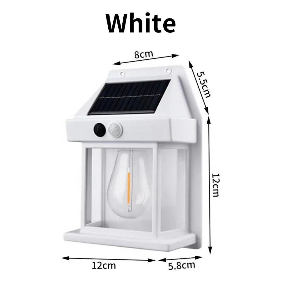 White shell