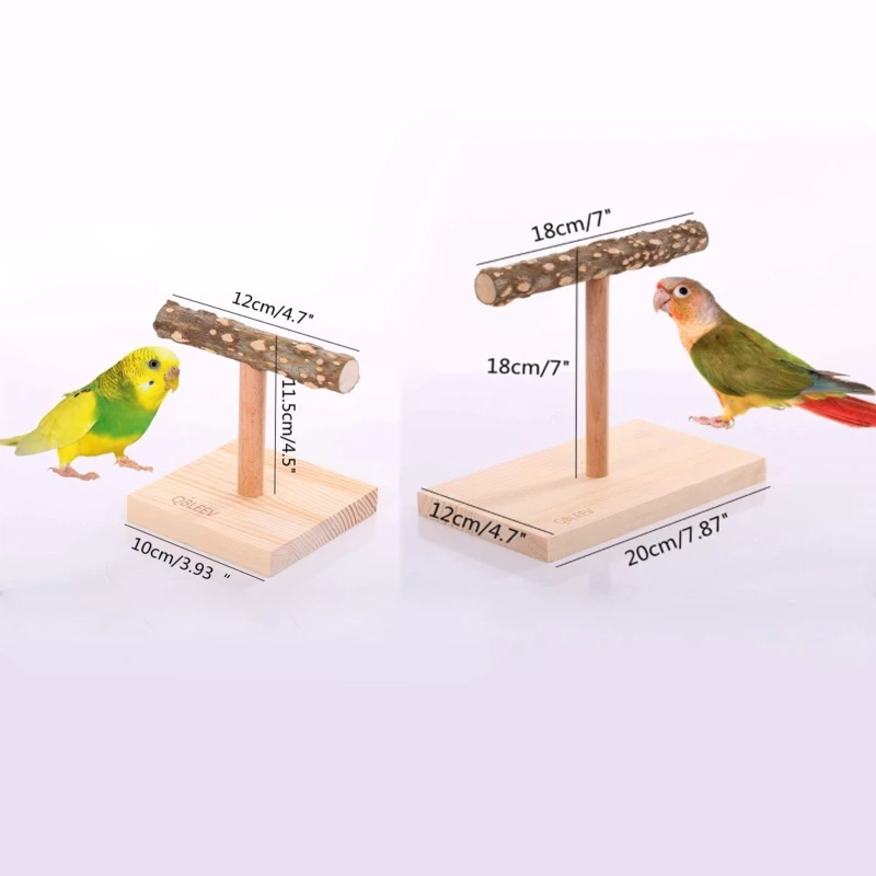 Support d'oiseau en bois naturel, perchoir de table avec base