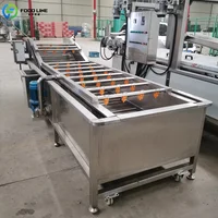 Laveuse à bulles personnalisée de qualité alimentaire pour fruits et légumes avec système de pulvérisation 3