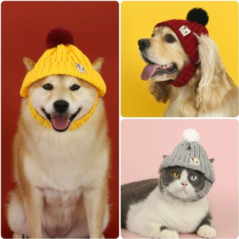 Pet Accessory Warm Knitted Dog Hat Ear Exposed Hand-knitted Pet Cap Windproof Winter Pet Dress Up Photography Prop
