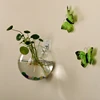 Glass Vase Wall Hanging Hydroponic Terrarium Fish Tanks Potted Plant Flower pot 2