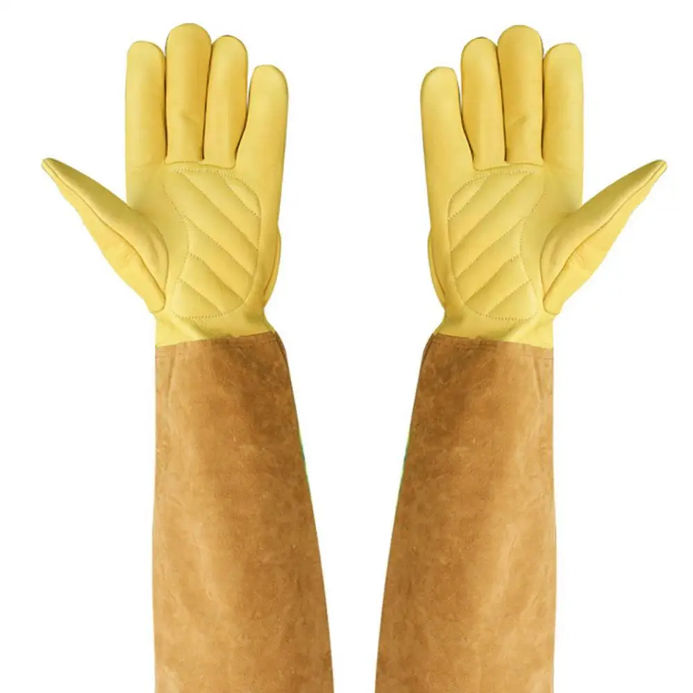 ȣ ⼺  Ҹ 尩, , ,  ġ,  Ҹ 尩, 1 