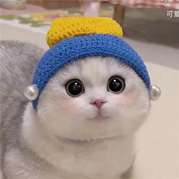 Autumn Winter Cat Hat Elastic Cute Refined Pet Hat Puppy