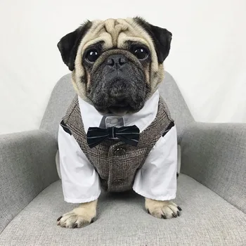 Gentleman Dog Wedding Suit 15