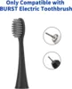10pcs Replacement Toothbrush Heads Compatible with Burst Adult Electric Toothbrush for Seago S9 S1 S6 S8 S21 S26 S28 SG540 SG860 2