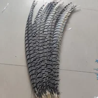 10pcs Lady Amherst pheasant feather 80-100 cm Long 6