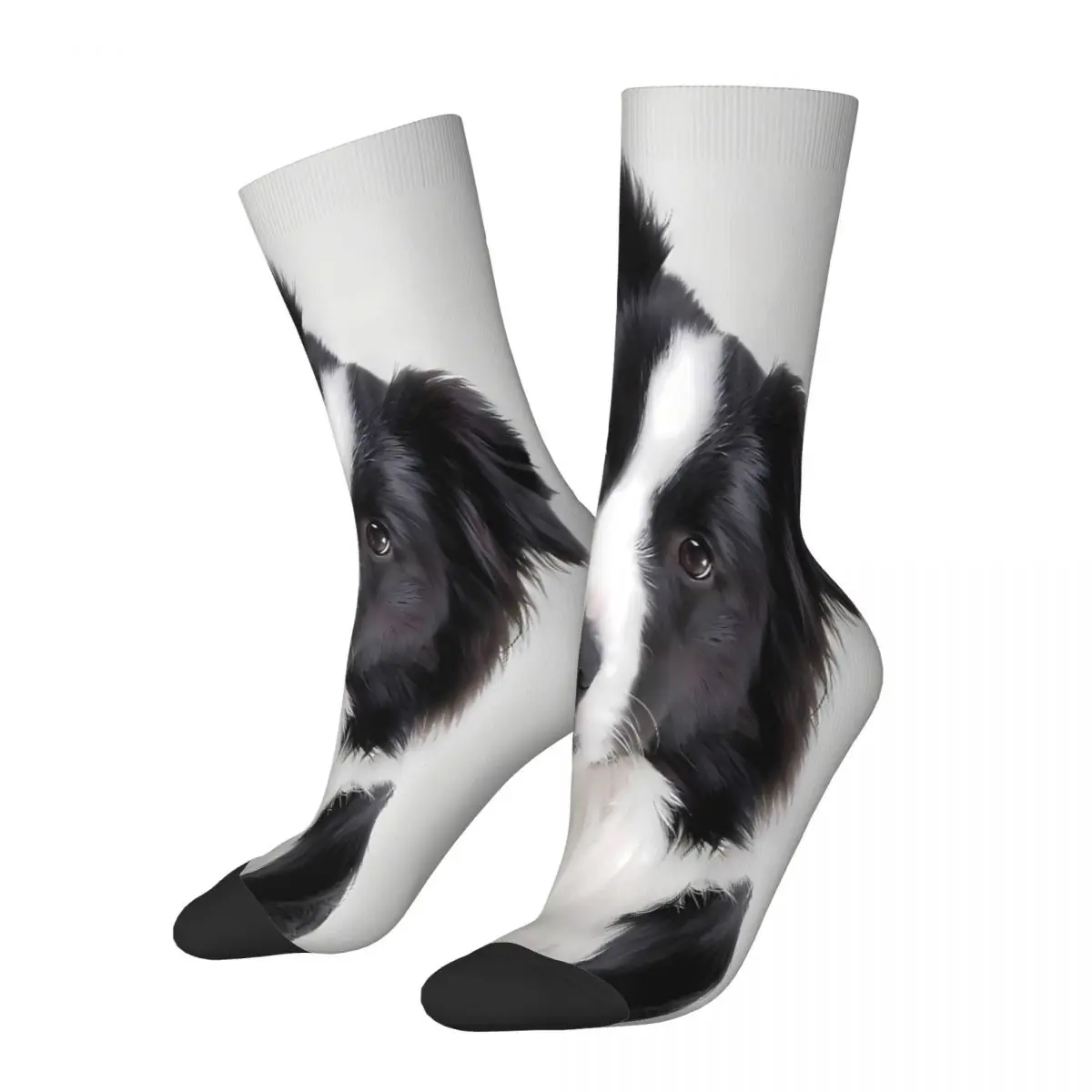 

Border Collie Colorful Socks Male Mens Women Autumn Stockings Hip Hop