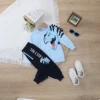 Boys' long-sleeved sweater and pants set, round-neck, pure cotton, domineering dinosaur design, casual pullover sweater set