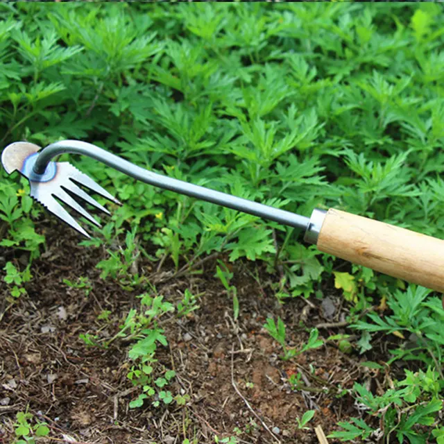 1Pcs Stainless Steel Weed Puller Sharp Tines Grass Rooting Weeding Tool for Yard Lawn and Farm Supply Home Yard Garden Tools 3