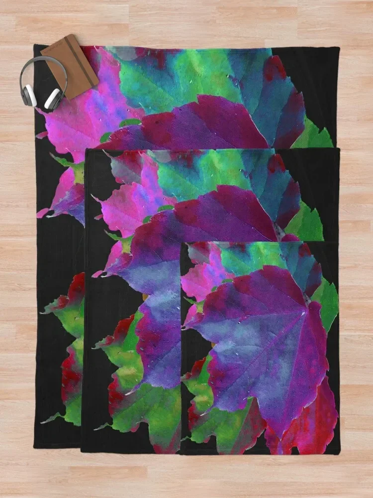 ������ ������ ������ ���, ��� ħ��, ���� ���� ���� ���