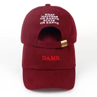 DAMN Embroidered Baseball Caps for Men Woman Dad Hat Hip Hop Stitched Kendrick Lamar Unstructured Rapper Snapback Hats Gorras 2