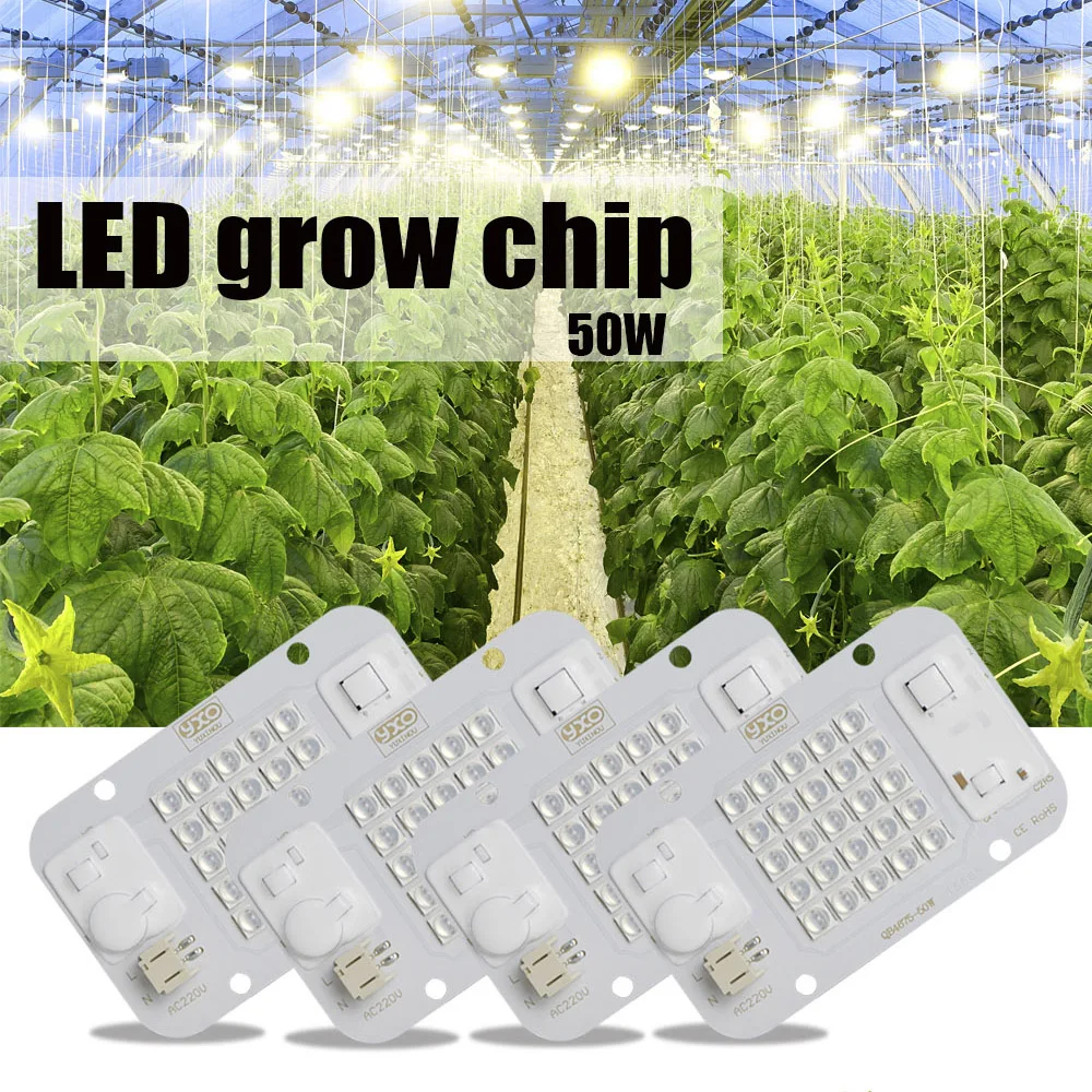 YXO Driverless LED Grow Light Chip Full Spectrum 50W COB Module AC DOB Samsung Lm283b for Indoor Plants No Driver Needed