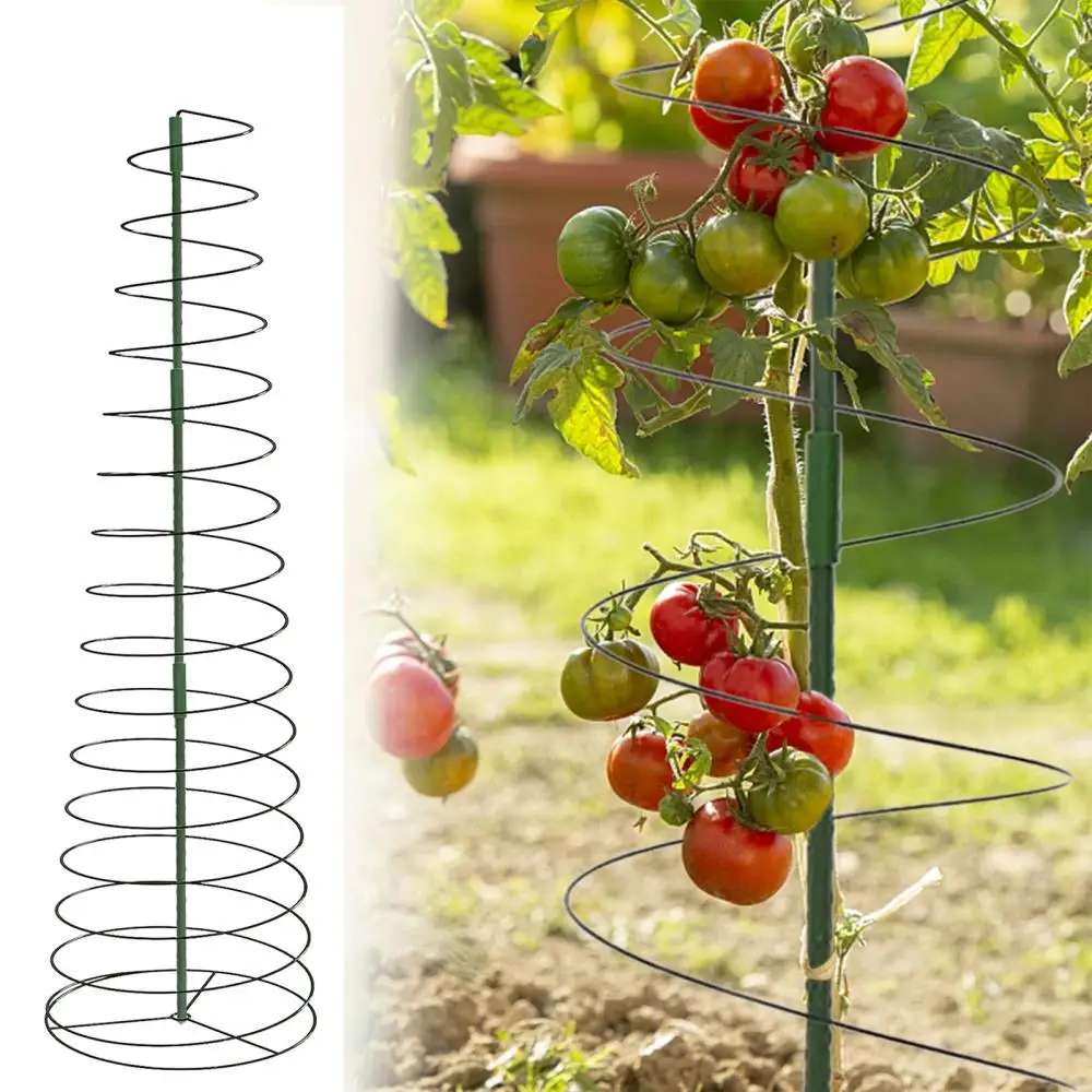 

Stretchable Spiral Plant Support, Tomato Supporter Cage, Climbing Plant Stake Tower, Potted Plants, Rose, Orchid, Lily, Dahlia