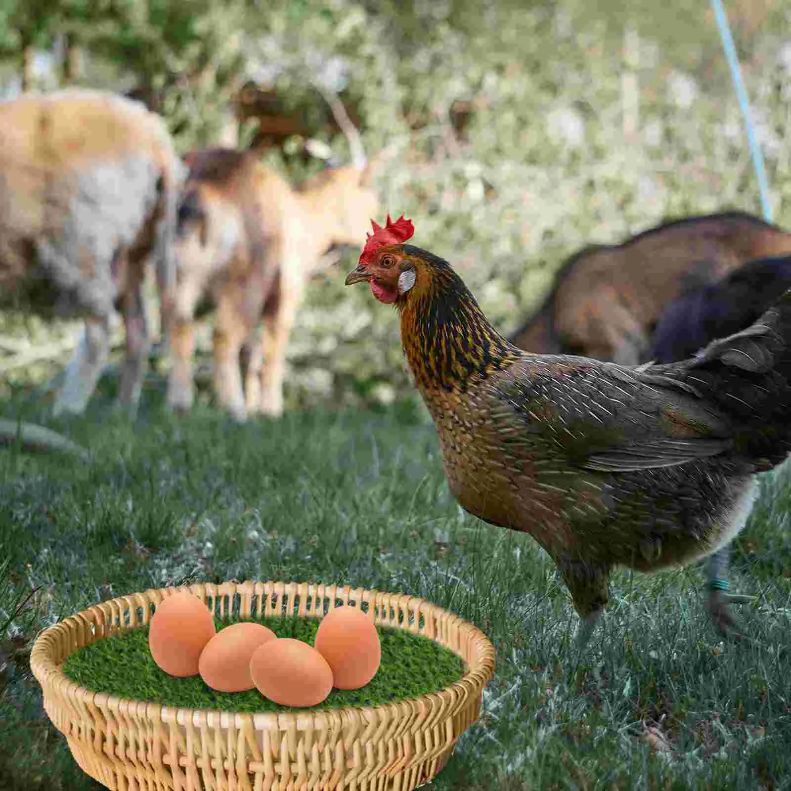 ġŲ ø  Ʈ ź   ġŲ   ħ 䳢 ġŲ ׽Ʈ Ʈ ż 䳢  е, 3 
