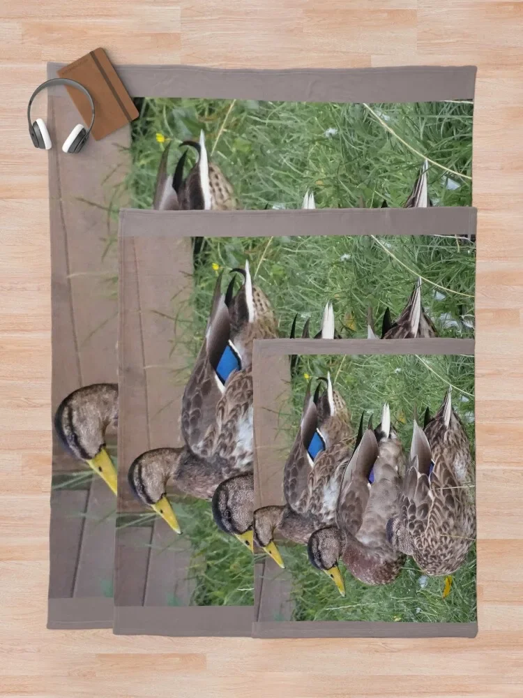 3 �� ������ ���, ���� �̺�, �Ϳ��� �ܿ� ħ��