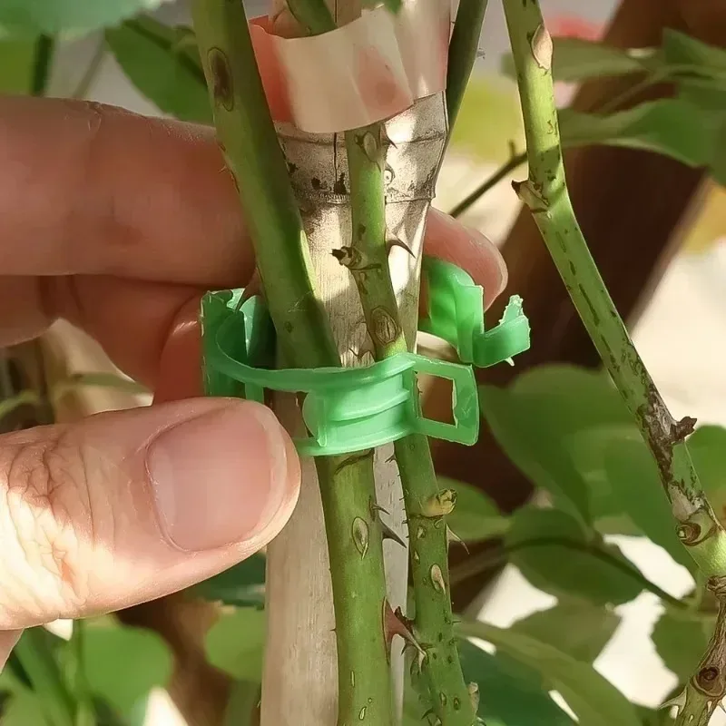 Plastic Plant Clips 300/10pcs Plastic Plant Support Clips Reusable For Vegetable Tomato Garden Supplies