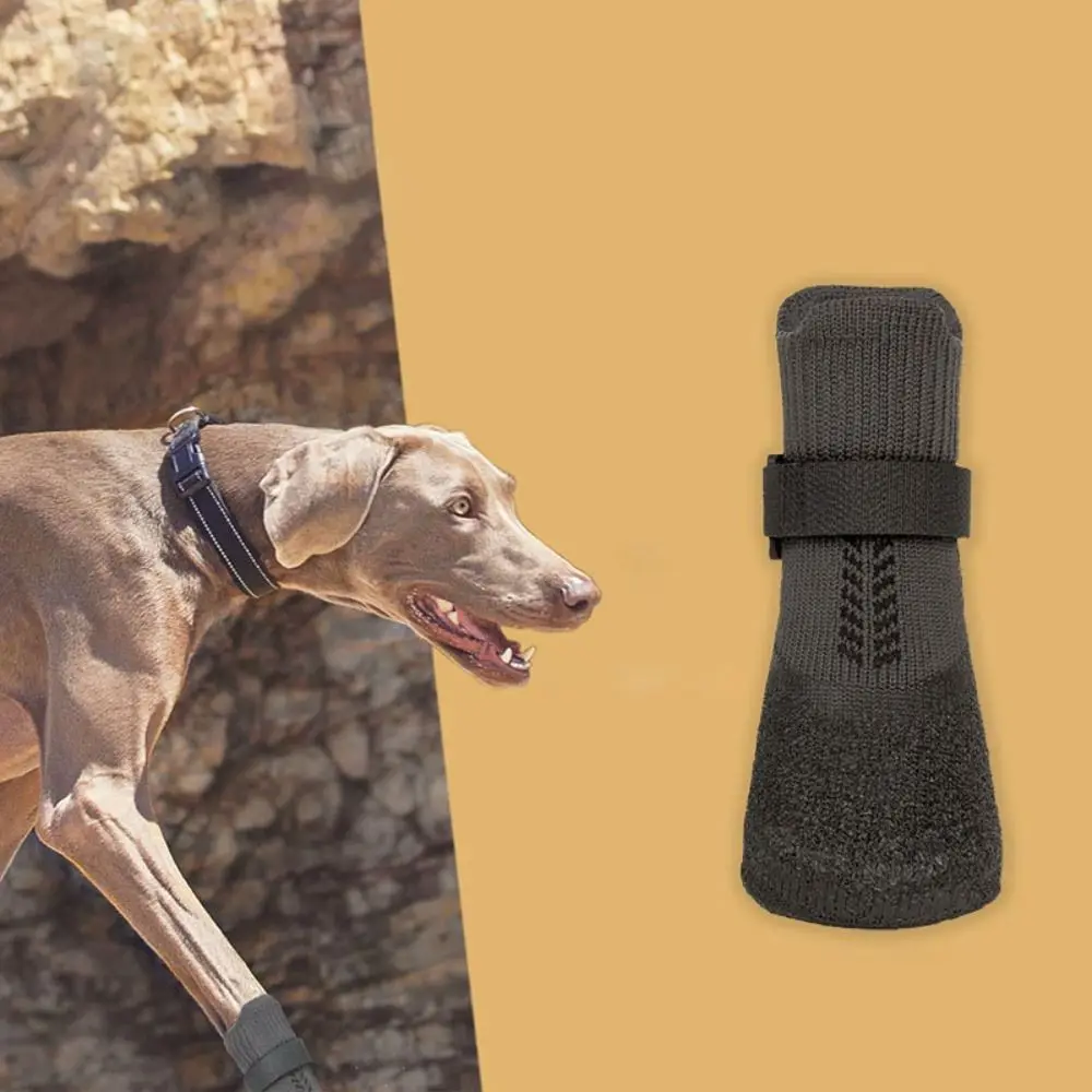 Optimal Foot Protection for Pets for Ultimate Comfort and Safety