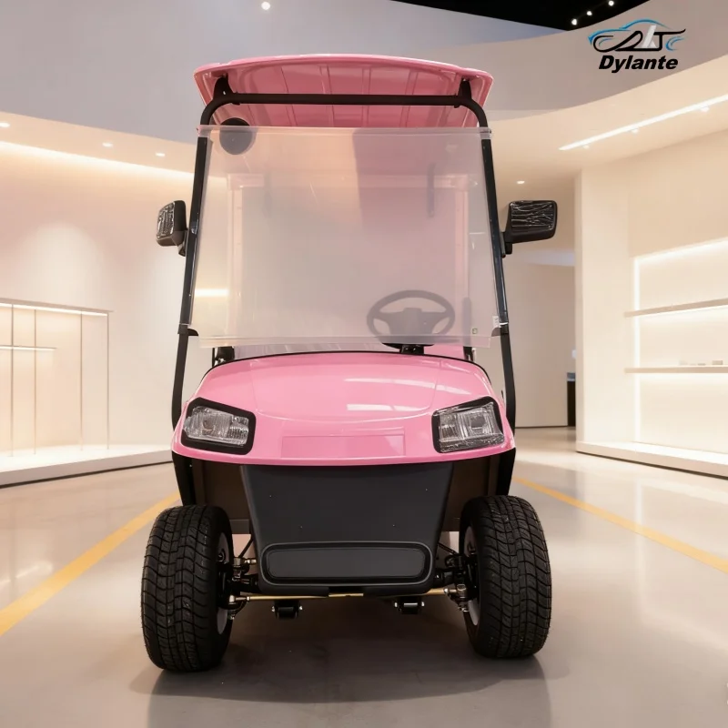 Newest 60V Adults Scooter Lithium Battery Golf Car Off Road Beach Buggy Electric Golf Cart Folding Cargo Car With Rear Cargo Box - Image 2