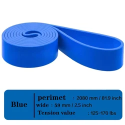 Enhanced Resistance Bands - Elastic Workout Loops for Strength and Fitness Training (DD Blue)