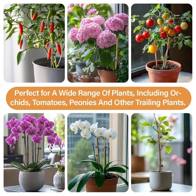 Dark Green 6-Claw Plant Clips 10-50Pcs Bundle Branch Climbing Stem Clasp Tied Orchid Flowers Support Clamps Plant Accessories 6