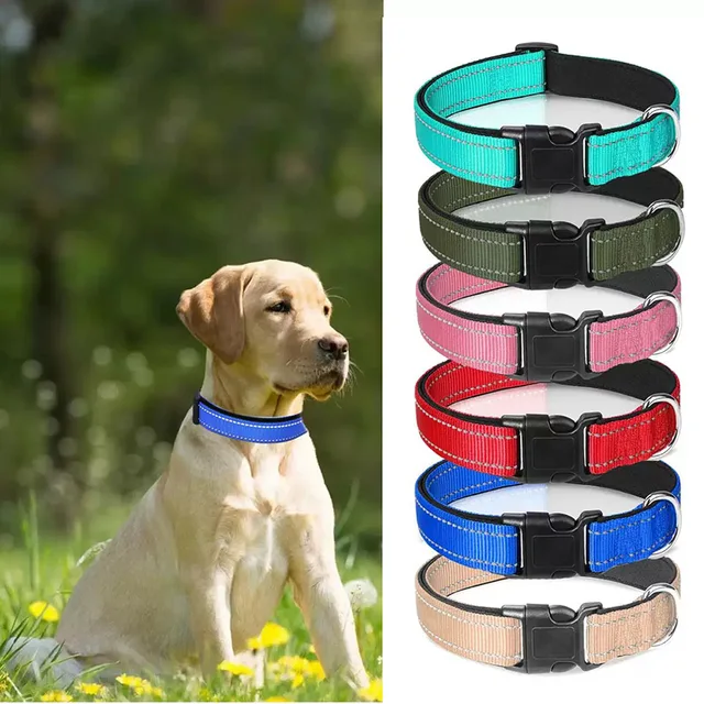 Reflective Adjustable Dog Collar 2