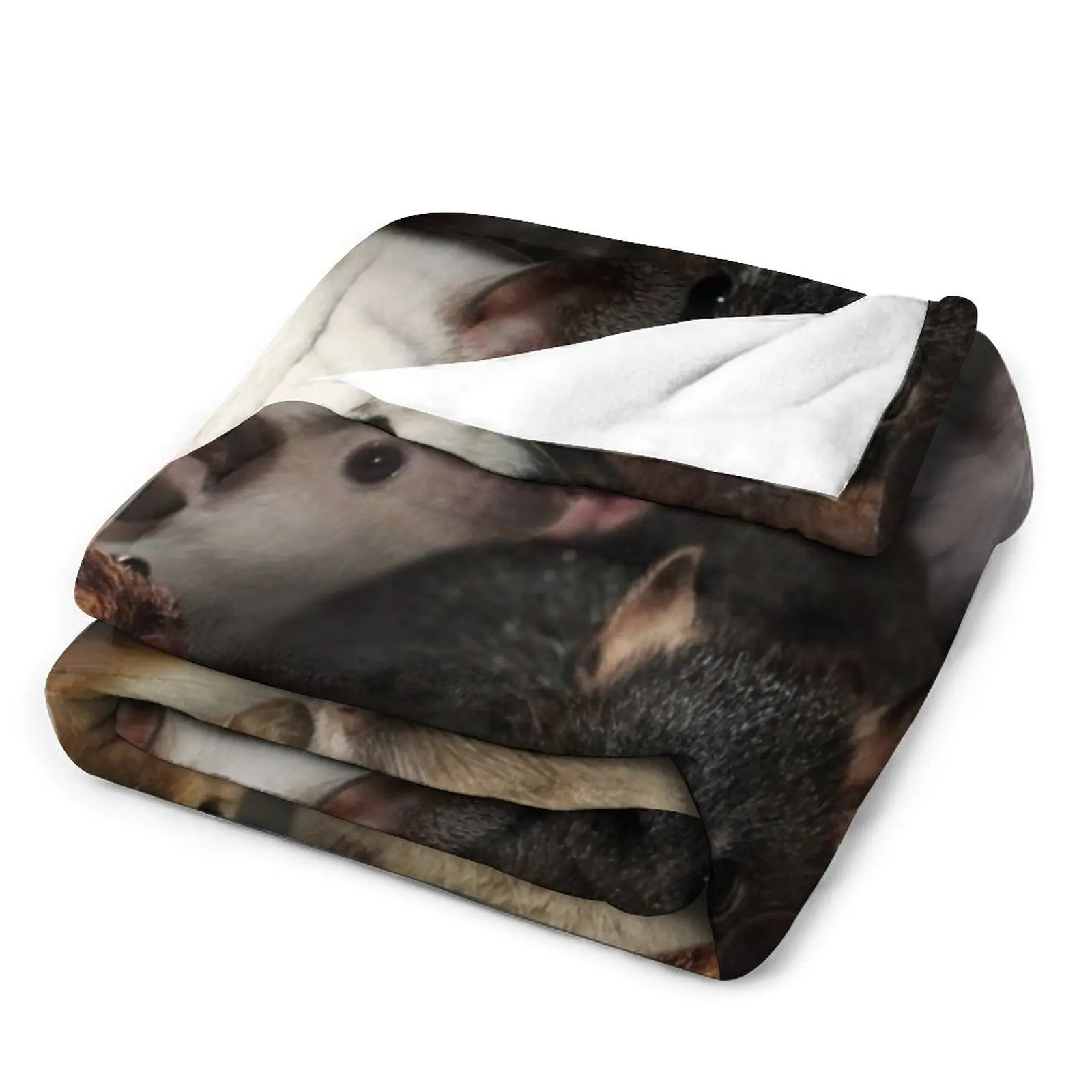 �� ������ ���, ��Ƽ�� ���, ħ�� ��ũ�� ���